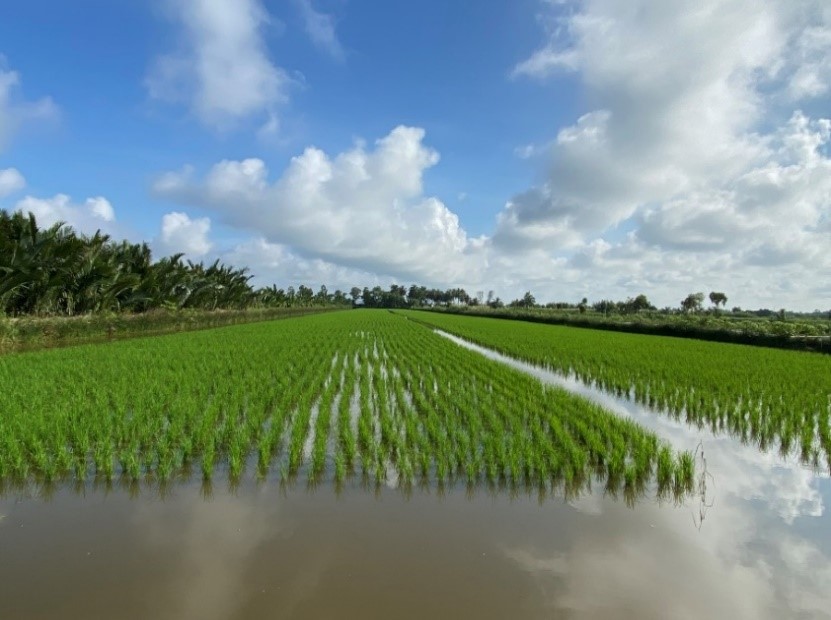 KẾ HOẠCH GIẢM NHẸ PHÁT THẢI KHÍ NHÀ KÍNH NGÀNH NÔNG NGHIỆP VÀ MỘT SỐ HOẠT ĐỘNG ĐÃ TRIỂN KHAI